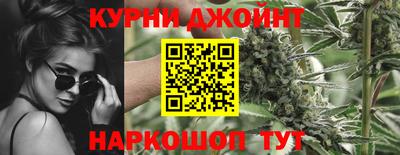 индика Долгопрудный