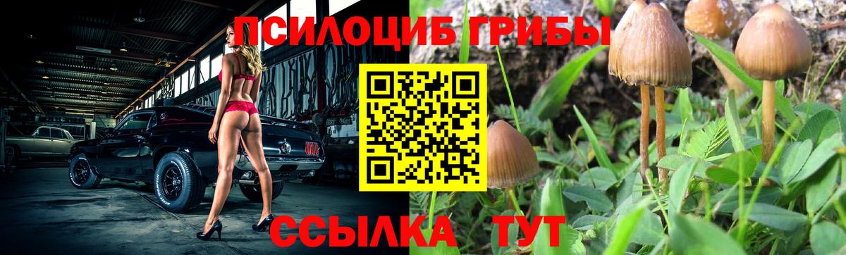 Ефремов  Псилоцибиновые грибы Psilocybe  купить наркотик  Вход с VPN 